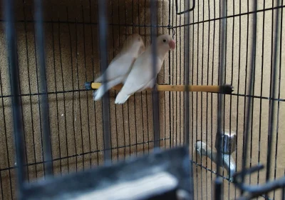 aed39625-4e67-45da-b5a8-aad40d3df4e3