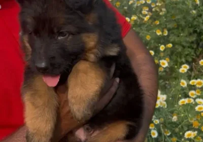 b373dd52-f856-4e45-9ccc-58a7e1a703c4