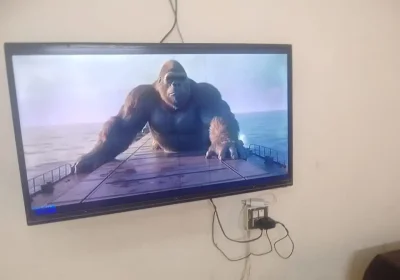 b554ded2-0c2f-4027-982f-cf5aa77737ed