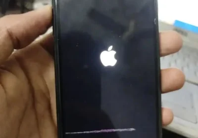 b6d31353-16a0-4337-9e77-bc96c539caf7