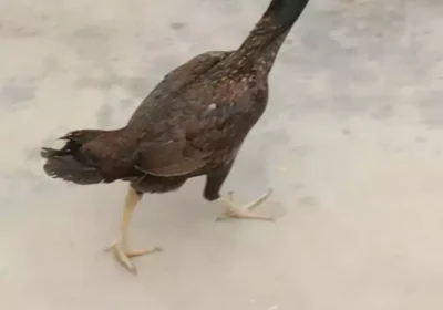 b740a0e3-36bc-4ac5-9f88-8e235129ec26