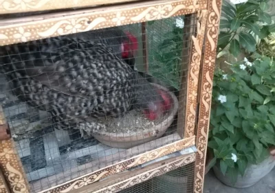 bd643169-8221-4324-a3a6-f444a5c2f926