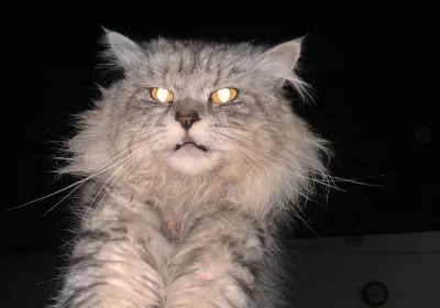 c0275d78-5eb8-4b79-bb6a-38e4cfd4d727