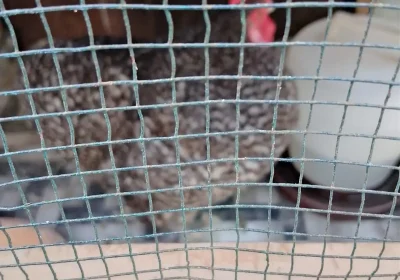 c4b30e03-1239-419b-b77b-0b8718c52eff