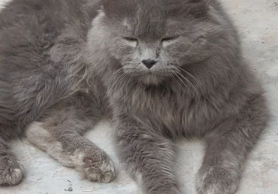 d3b49baa-5c1a-4eb2-94b3-ed2ad431bce5