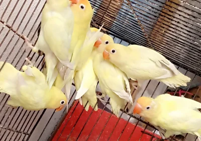 d5b8ccba-24f7-4f9d-b519-38c9263a04cc