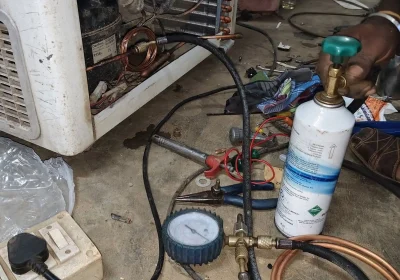 d99c5bcd-cc0e-410f-ac33-eee016a95936