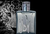 Men Parfum citrus