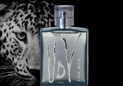 db95ce80-c2f6-4cf6-8c36-81442d750e97