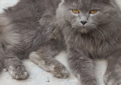 df4cb7b1-dbbc-47a7-8c59-3ebea98fe3e9