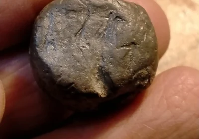 fc8fff56-5985-4f3b-9344-1b6555ab8935