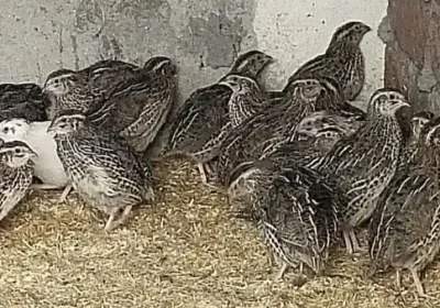 08232bf0-74e0-4bc2-8901-aa371e89bd05