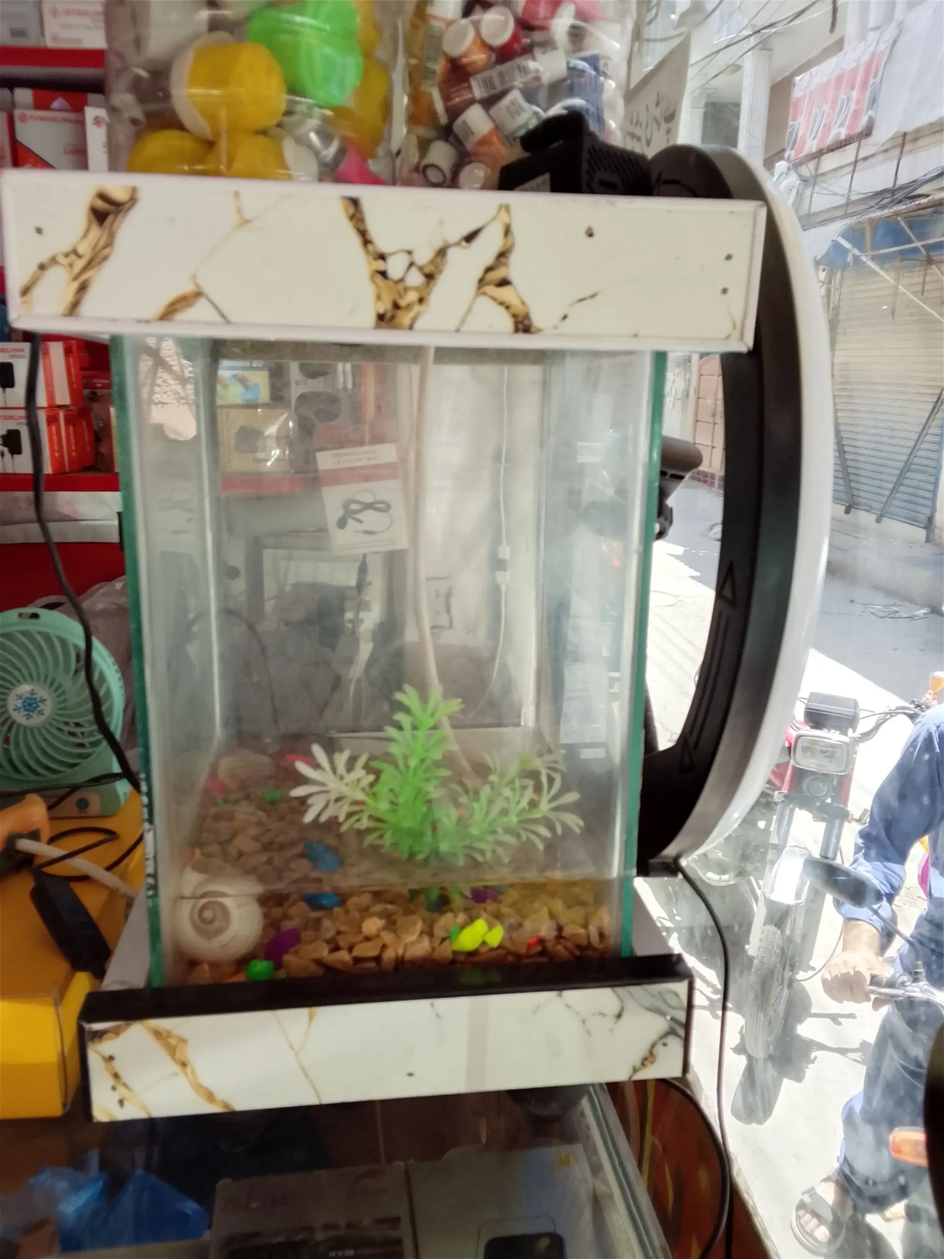 Aquarium