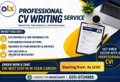 Get Hired with a Professional Resume / CV Writing | ATS Friendly