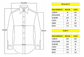 Dress Shirt for Men, Formal Shirt, Office Shirt, Medium & Large Size, Slim & Regular Fit