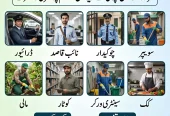 Government job available last date 30 tak ha