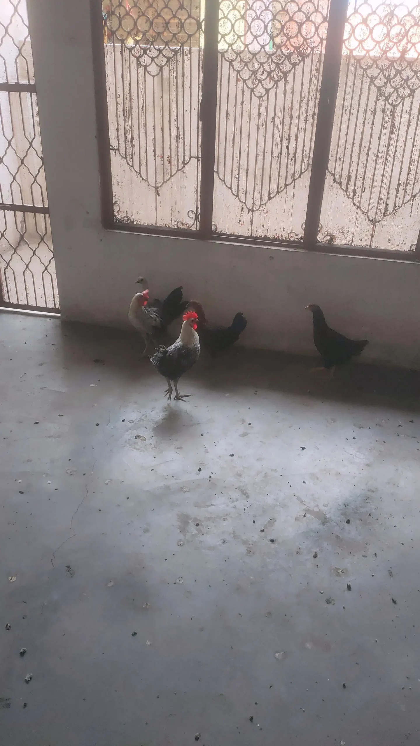 Total 5 PC 3 Female 2 Male