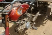 Chingchi For Sale