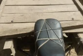 Chingchi For Sale