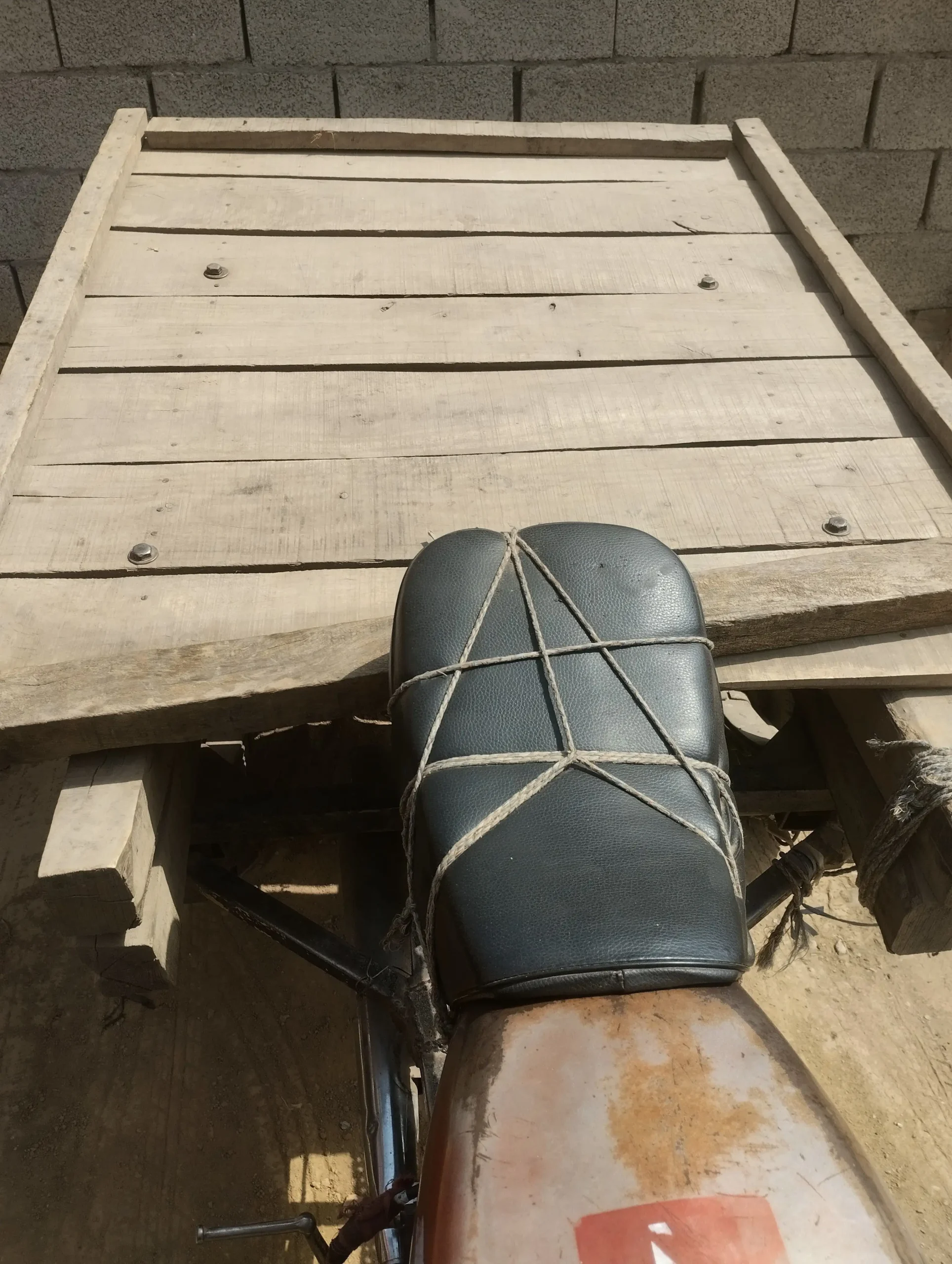 Chingchi For Sale