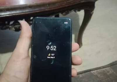 53dd598c-1d73-492a-8f2a-08f5fc62ff99