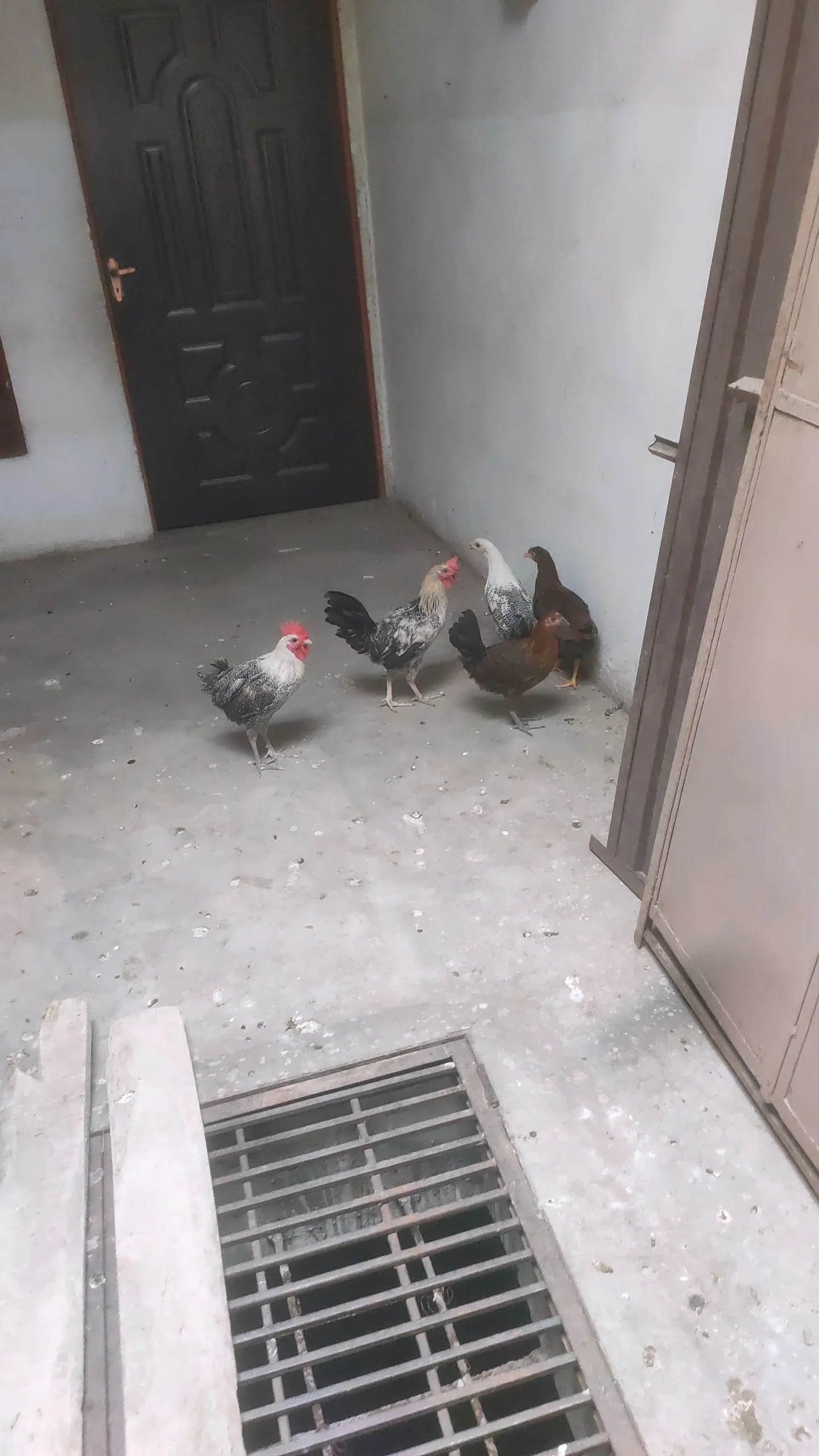 Total 5 PC 3 Female 2 Male