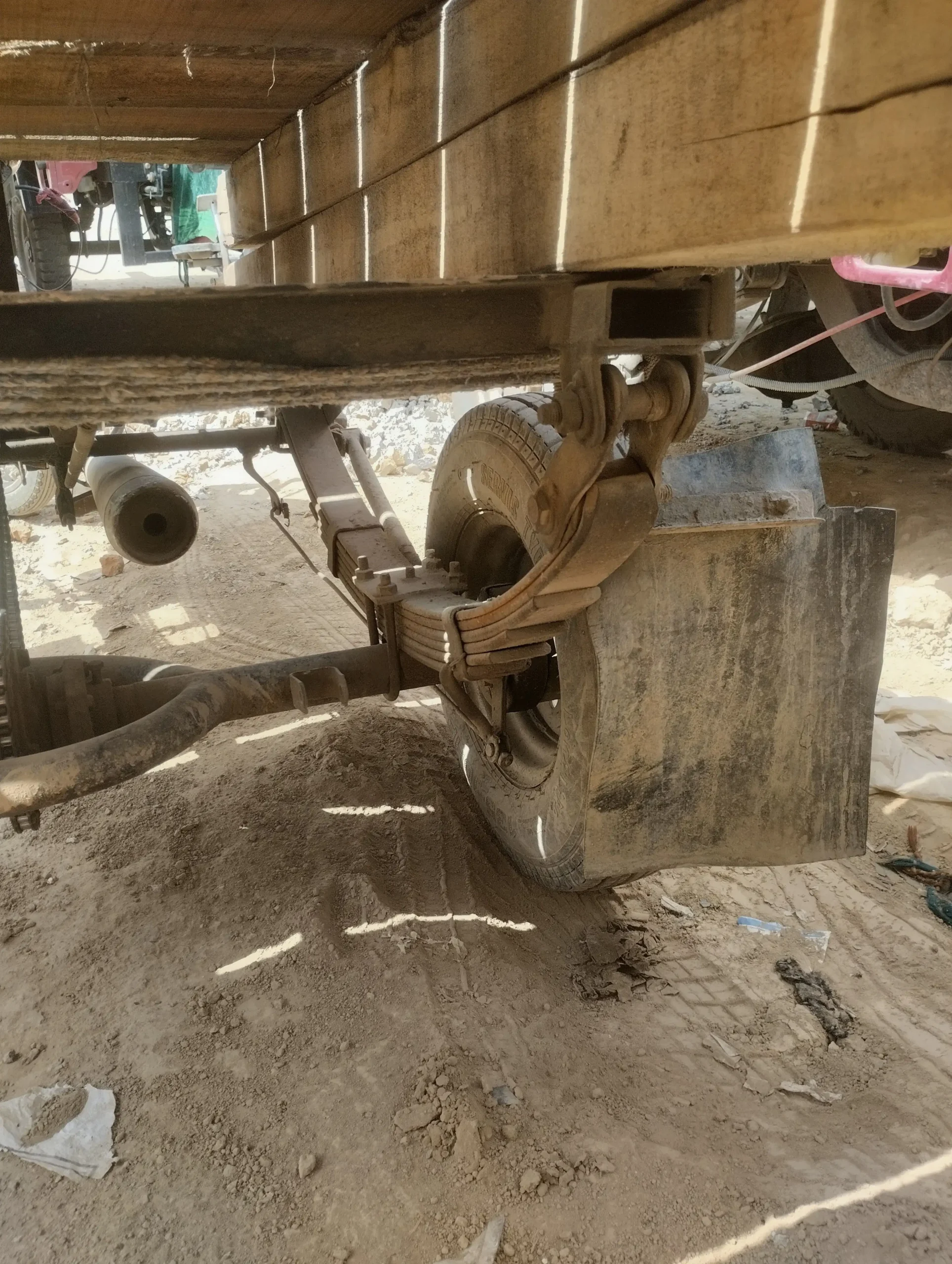 Chingchi For Sale