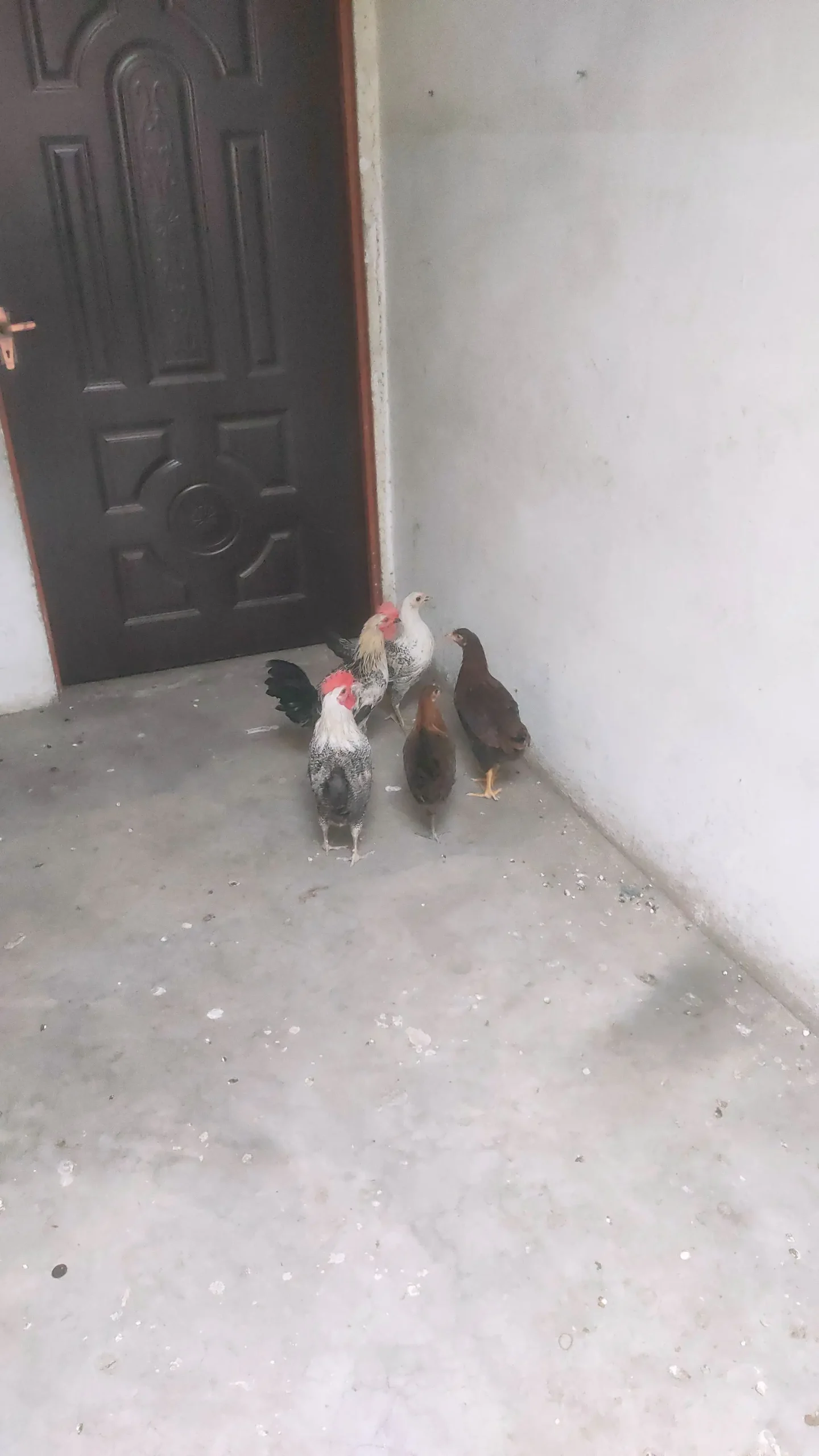 Total 5 PC 3 Female 2 Male