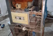 Ice cream machine