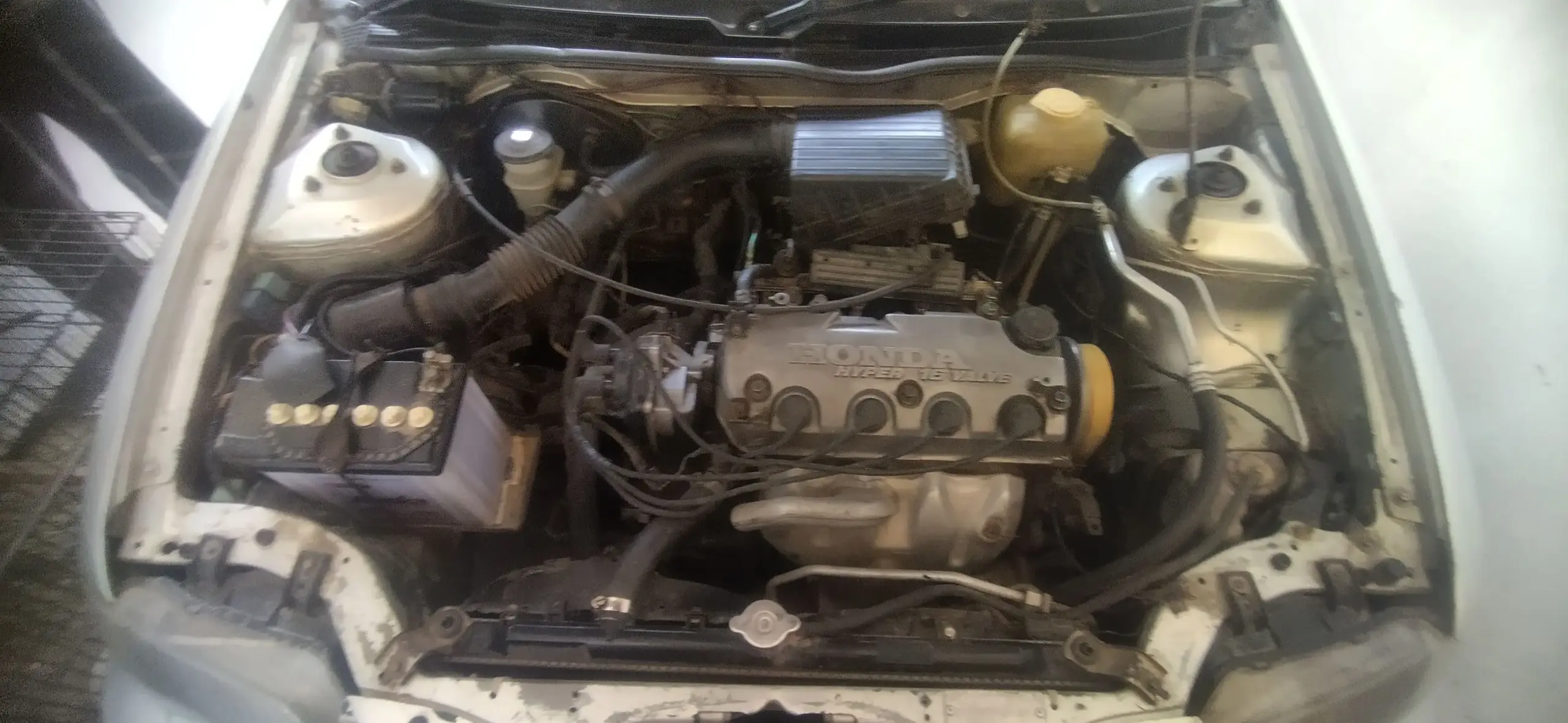Honda city