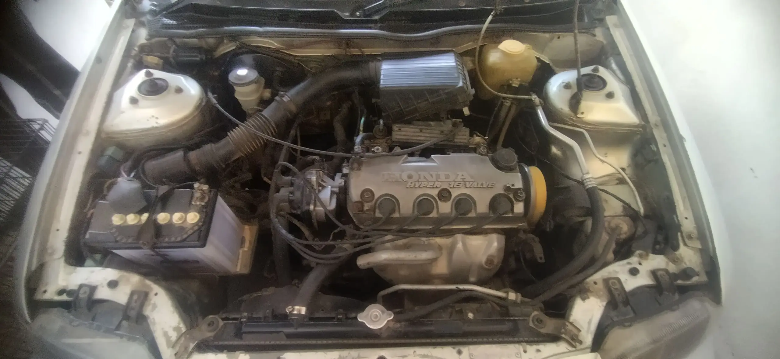 Honda city