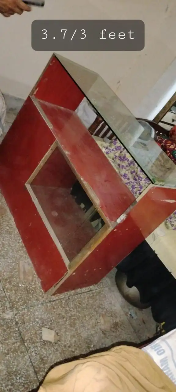 Shop rack shop counter