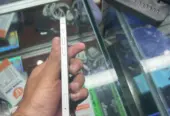Iphone 12 PTA Approved