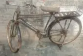 Cycle