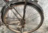 Cycle