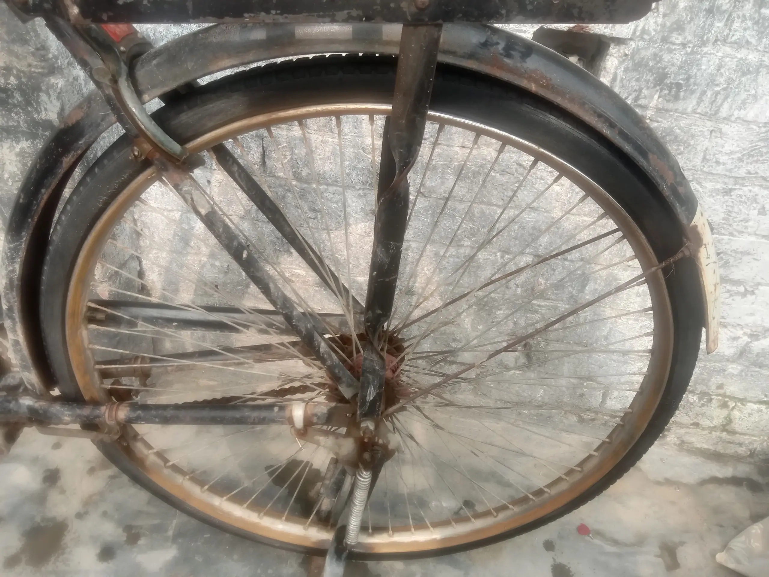 Cycle