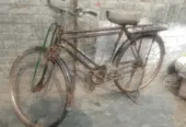 Cycle