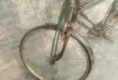 Cycle