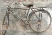 Cycle