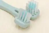 Complete Pet Grooming Kit – 2-in-1 Slicker Brush, Safety Nail Clipper & Detangling Brush S