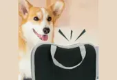 Complete Pet Grooming Kit – 2-in-1 Slicker Brush, Safety Nail Clipper & Detangling Brush S